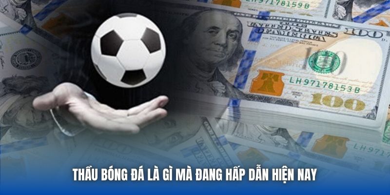 Thầu bóng đá là gì mà đang hấp dẫn hiện nay