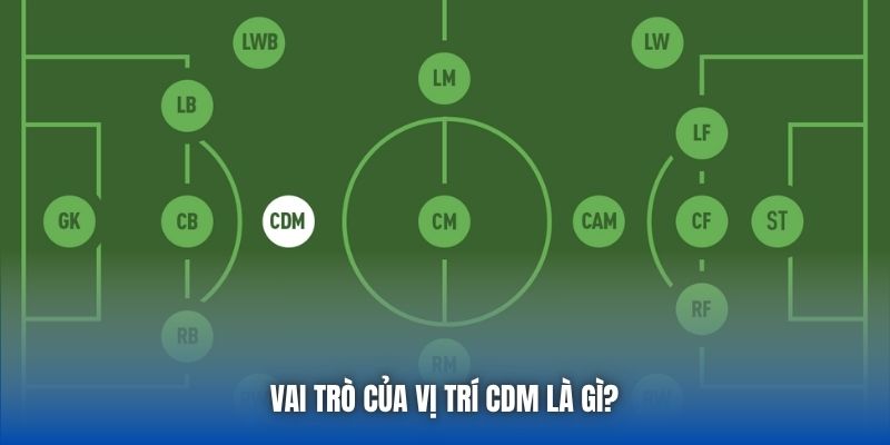 Vai trò của vị trí CDM là gì?